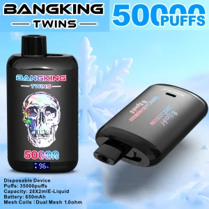 Alternative view of Bang King Twins 50K