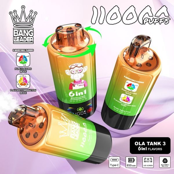 Bang Leader 110K 6u1 vape uređaj – jedan od najpopularnijih modela u VapeHr shopu
